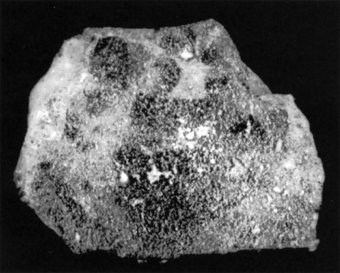 Fig. 6: Fragment of rib-shaped glass. CMG 3755; Pb-I 147. Original L. 2.0-2.5 cm.