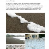 Proposal 3 [electronic resource]: sea foam.